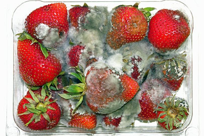How tech can stop the looming food crisis