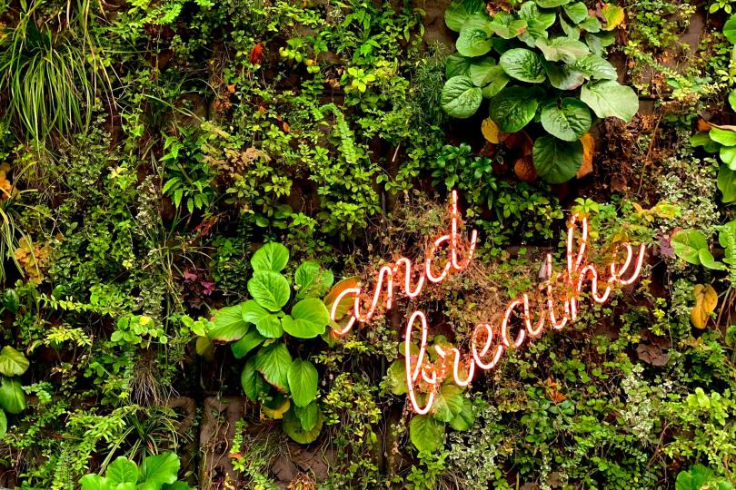 a neon sign that reads "and breathe" in cursive is on a leafy green wall