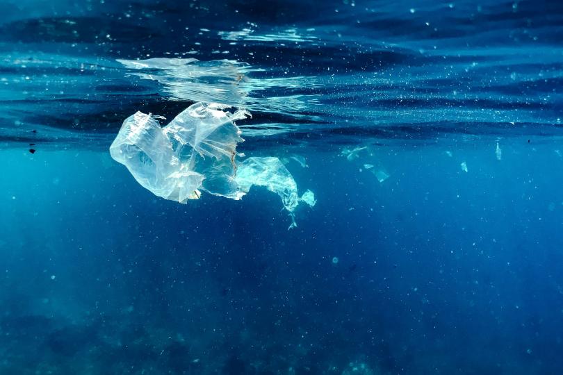 A plastic bag disintegrates in vibrantly blue water. Tiny particles of plastic are floating in the water around the bag.