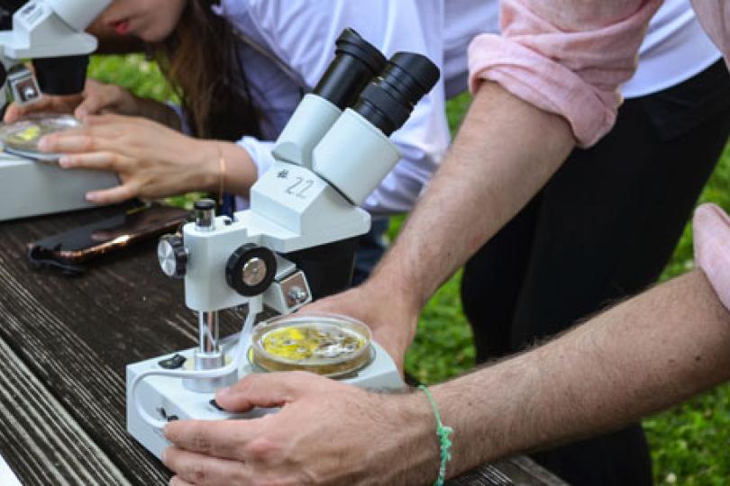 Close up shot of two people using microscopes on an outdoor bench.