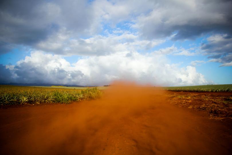 A dust cloud forms on a dirt road in a green agricultural field with blue sky and grey clouds in the distance.