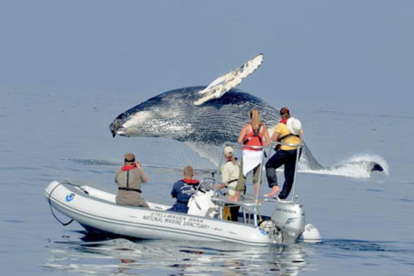 Photo: NOAA