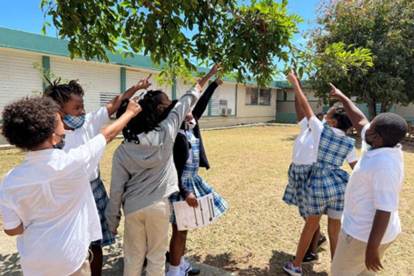 A group of young Black students in school uniforms all pointing at a tree branch in a schoolyard