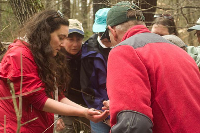 Brett Amy Thelen conducts vernal pool training