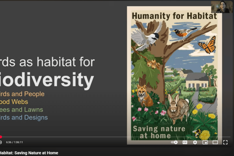 Screenshot shows a slide with a dark grey background and text reading “Yards as habitat for Biodiversity. 1. Birds and People. 2. Food webs. 3. Bees and Lawns. 4. Birds and Designs.” On the right side there is an illustrated poster showing birds, butterflies, bees, a fox, a rabbit, flowers and trees in front of a house with a silhouette of a person watering plants in the yard and blue sky. Text on the poster reads “Humanity for Habitat, Saving nature at home.” 