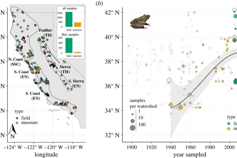 Figure 1. Distribution of R. boylii samples assayed for Bd infection. Diamonds show museum samples (collected 1897–2005), circles show field samples (2005–2021). Filled symbols indicate Bd-positive samples. (a) Sampling locations across California and Oregon, USA. Symbols overlap in some localities; see inset barplots for sample sizes. Rana boylii clades are outlined and labelled, with California Endangered Species Act status abbreviated in parentheses: SSC = Species of Special Concern, TH = Threatened, EN 