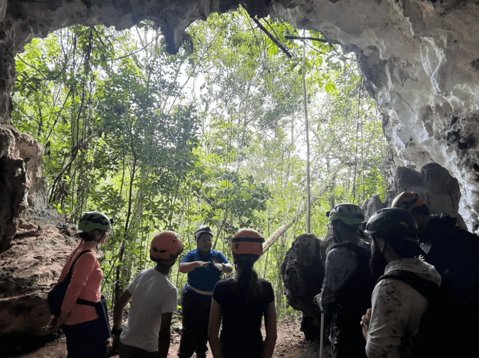 People stand silhouetted in the mouth of a cave with a forest background.