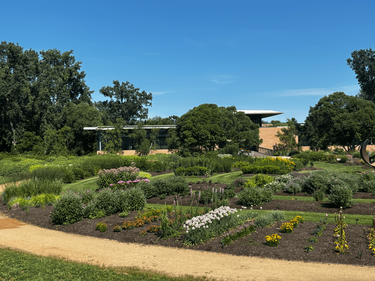 neatly planted rows of native and cultivar plants in a garden bed at the Chicago Botanic Garden. There is a gravel path in the foreground and blue sky, trees and a building in the background.&nbsp;