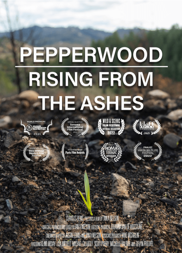 The Pepperwood: Rising from the Ashes movie poster 