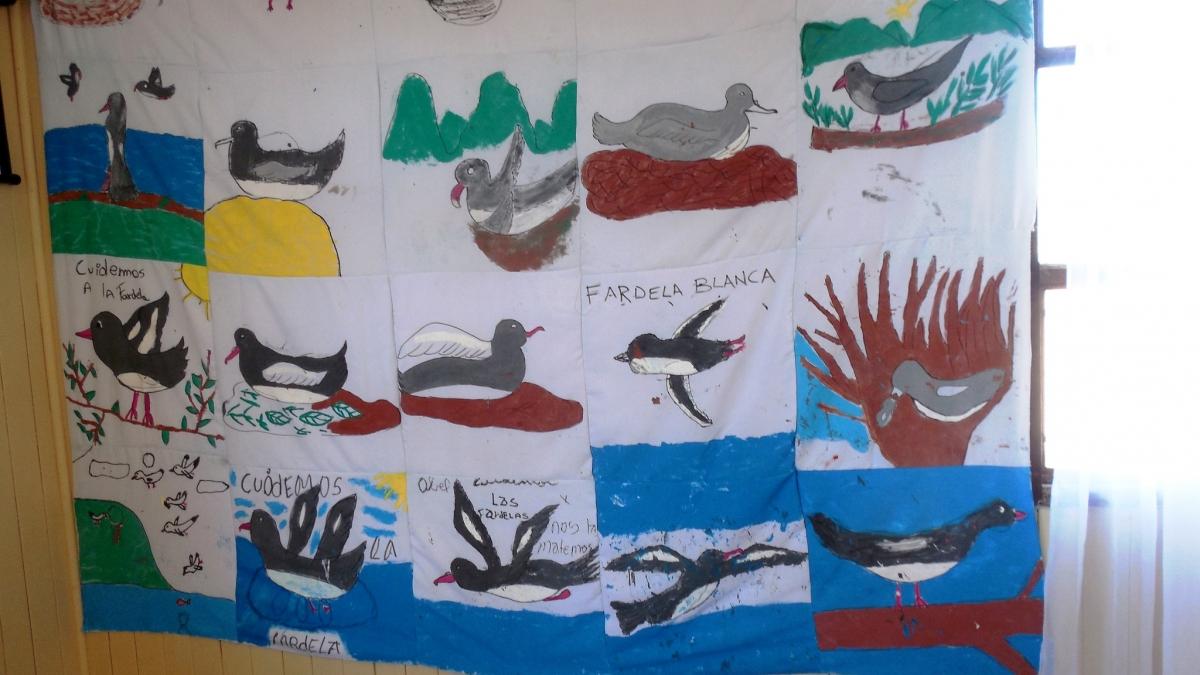 Pink-footed Shearwater paintings made by Mochan students as part of Oikonos’ environmental education program.