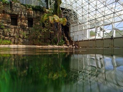 BIOSPHERE 2 OCEAN BIOME